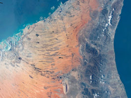 Científicos descubren una zona muerta dos veces el tamaño de Escocia en el mar Arábigo