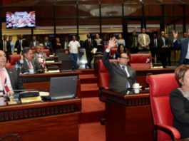 Primarias Cerradas es lo constitucional