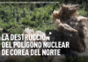 Demolición del polígono nuclear de Corea del Norte (VIDEOS)