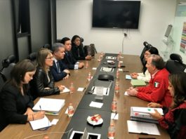 Leonel Fernández encabeza visita preliminar de Misión de Observación Electoral de la OEA en México