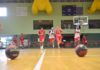 Leones abrirán sus entrenamientos este viernes