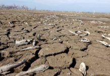 El ‘día cero’ amenaza a una de las mayores ciudades de África