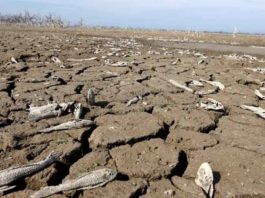 El ‘día cero’ amenaza a una de las mayores ciudades de África