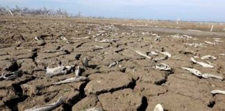 El ‘día cero’ amenaza a una de las mayores ciudades de África