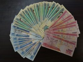 Gobiernos del PLD llevan 11 años incumpliendo con la Ley para la Recapitalización del Banco Central