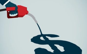 ¿Cuáles son los países con la gasolina más cara y más barata del mundo?