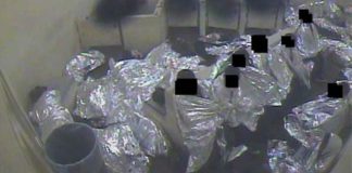 Cómo son las controvertidas «hieleras» en las que detienen a los indocumentados en la frontera sur de Estados Unidos