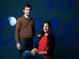 Un compuesto extraído de un cardo frena la metástasis cerebral