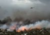 Al menos 74 muertos y 187 heridos por varios incendios en Grecia