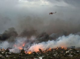 Al menos 74 muertos y 187 heridos por varios incendios en Grecia