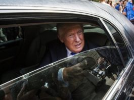 El exchófer de Trump le demanda para que le pague las horas extras