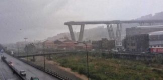 Primeras imágenes: El mortal derrumbe del puente de una autopista en Génova