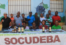 Entidad denuncia contubernio director INUVA con intermediarios de uva