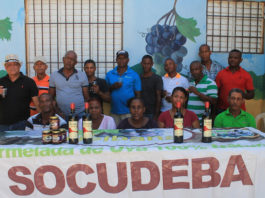 Entidad denuncia contubernio director INUVA con intermediarios de uva