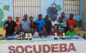 Entidad denuncia contubernio director INUVA con intermediarios de uva