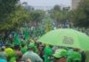 Marcha Verde en pie de lucha hasta que se logre condenas por caso Odebrecht y se procese a Danilo Medina