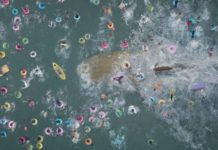 Cómo era el megalodón, el gigantesco tiburón prehistórico traído al cine en la película “The Meg”