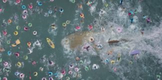 Cómo era el megalodón, el gigantesco tiburón prehistórico traído al cine en la película “The Meg”