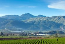 Fiestas Populares de Constanza 2018 tendrán transmisión on line a través de Generaciones Radio