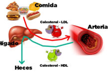 Tips importantes para mejorar tu colesterol