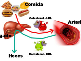 Tips importantes para mejorar tu colesterol