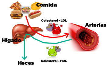 Tips importantes para mejorar tu colesterol