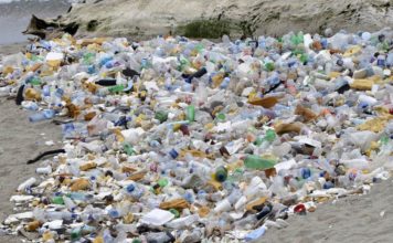 Sector turismo bajará el uso de los plásticos