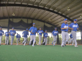 Licey convoca para el lunes los infielders y jardineros