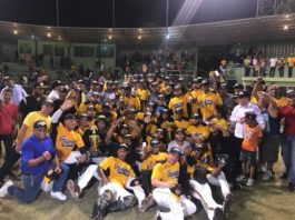 Granjeros de Moca campeones de Liga de Verano de Béisbol