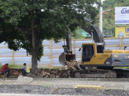 Interponen recurso de amparo contra construcción terminal autobuses en Parque del Este