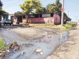 Salud Pública confirma casos de Malaria