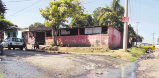 Salud Pública confirma casos de Malaria