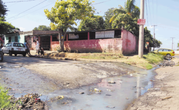 Salud Pública confirma casos de Malaria