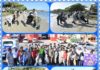 Militares de la Base Aérea Puerto Plata participan en jornada de limpieza de playas