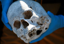 Todos los hombres españoles habrían sido aniquilados en una «violenta conquista» hace 4.500 años