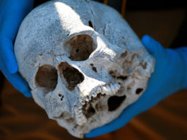 Todos los hombres españoles habrían sido aniquilados en una «violenta conquista» hace 4.500 años