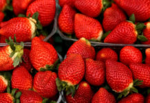 Encuentran agujas dentro de fresas en varios supermercados de Australia