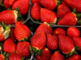 Encuentran agujas dentro de fresas en varios supermercados de Australia