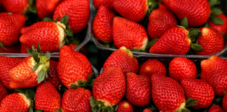 Encuentran agujas dentro de fresas en varios supermercados de Australia