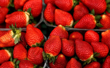 Encuentran agujas dentro de fresas en varios supermercados de Australia