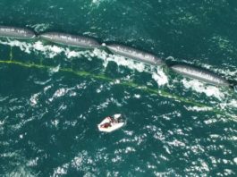 Cómo es la «serpiente gigante» con la que científicos holandeses quieren limpiar la gran isla de basura del Pacífico