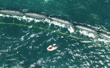 Cómo es la «serpiente gigante» con la que científicos holandeses quieren limpiar la gran isla de basura del Pacífico