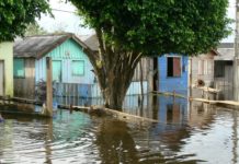 Un siglo de registros muestra que el Amazonas se está desbocando