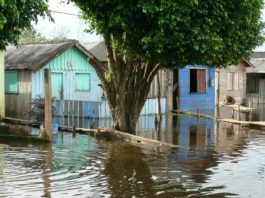 Un siglo de registros muestra que el Amazonas se está desbocando