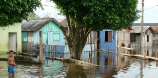 Un siglo de registros muestra que el Amazonas se está desbocando