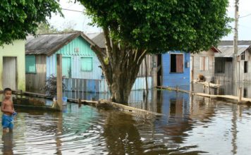 Un siglo de registros muestra que el Amazonas se está desbocando