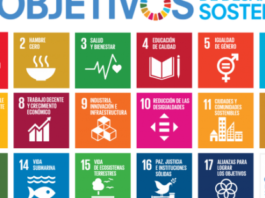 Ningún país cumplirá todos los Objetivos de Desarrollo Sostenible de la ONU