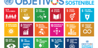 Ningún país cumplirá todos los Objetivos de Desarrollo Sostenible de la ONU