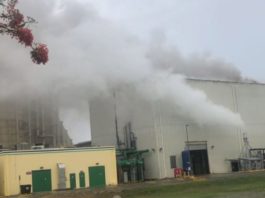 Colapso eléctrico se debe a mala inversión Punta Catalina