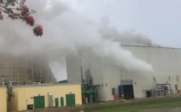 Colapso eléctrico se debe a mala inversión Punta Catalina